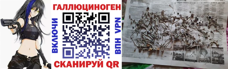 дарнет шоп  Семилуки  Псилоцибиновые грибы ЛСД 